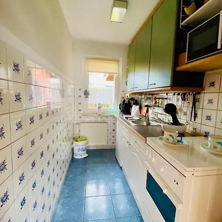 Kleine Seemoewe * ツィングシュト