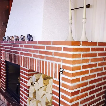 Kleine Seemoewe ツィングシュト