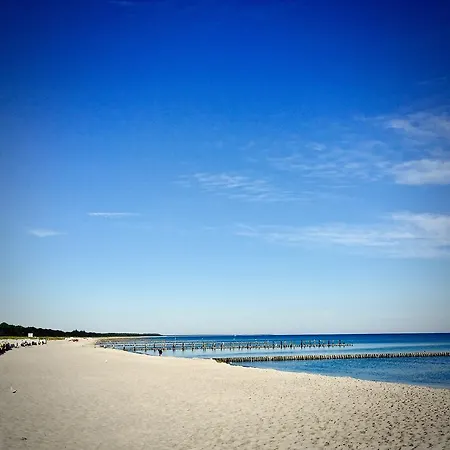 Kleine Seemoewe ツィングシュト