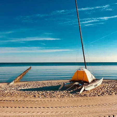 Kleine Seemoewe * Zingst
